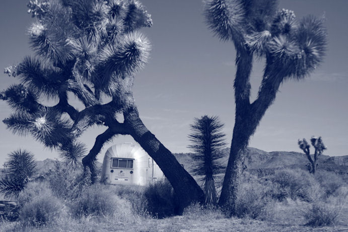 Photograph by Lynn Crounse